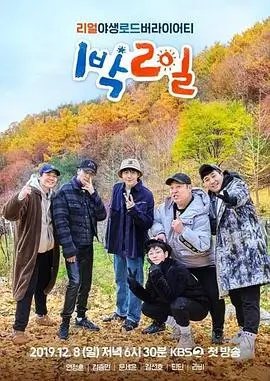 策驰影院在线观看电视剧完整版高清 乘风破浪的姐姐